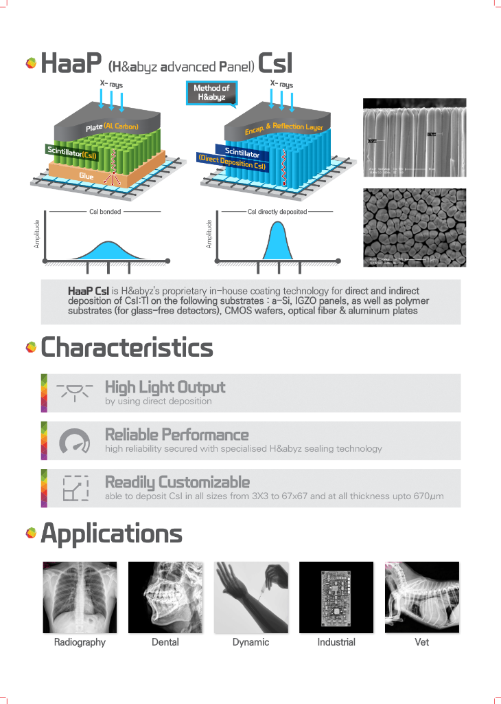 Detector Characteristics
